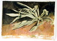 oil on paper 110 x 150 cm - 2006